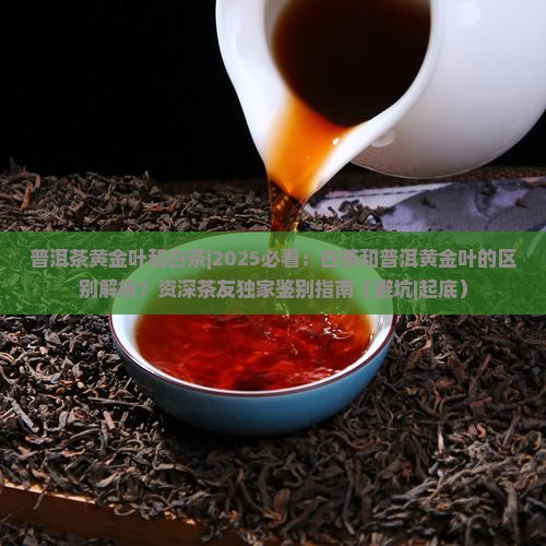 普洱茶黄金叶和白茶