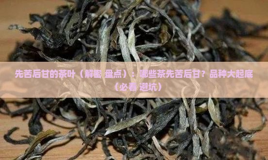 先苦后甘的茶叶