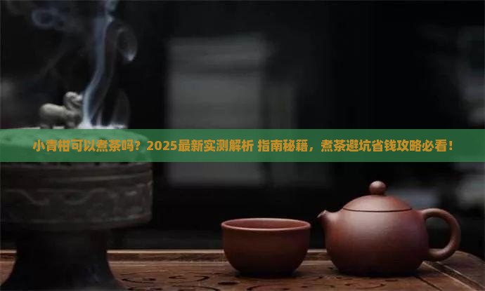 小青柑可以煮茶吗