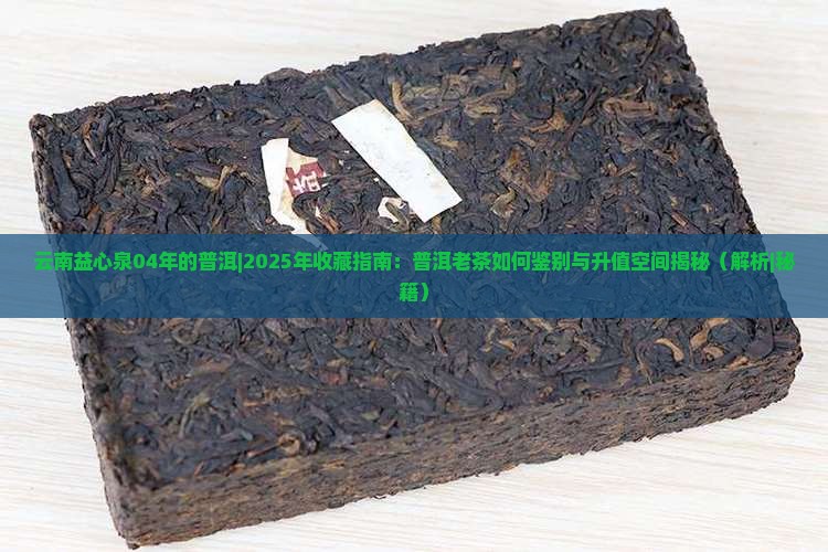 云南益心泉04年的普洱