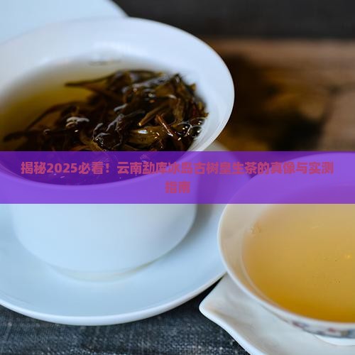 云南勐库冰岛古树皇生茶