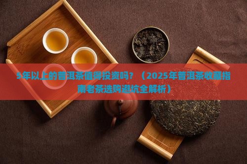 5年以上的普洱茶