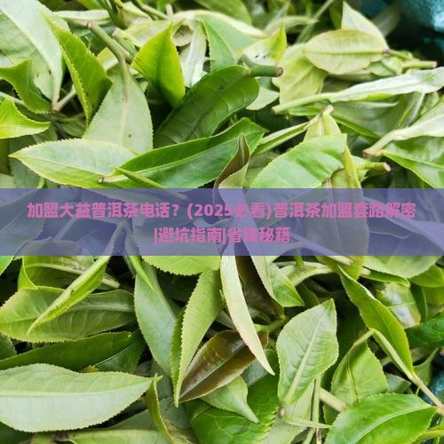 加盟大益普洱茶电话