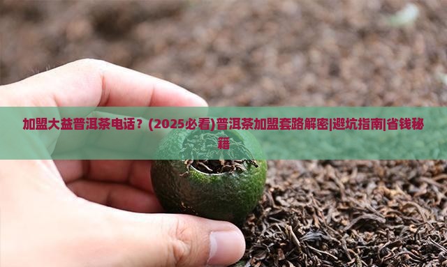 加盟大益普洱茶电话