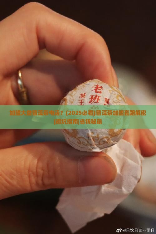 加盟大益普洱茶电话