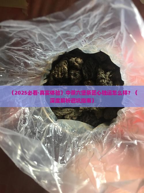 中茶六堡茶匠心独运怎么样