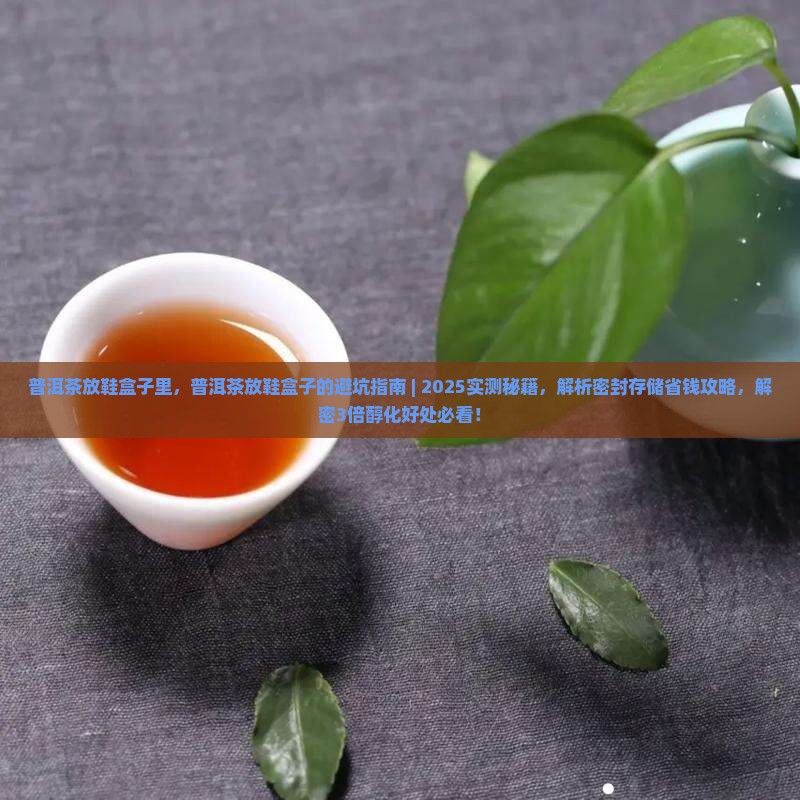 普洱茶放鞋盒子里