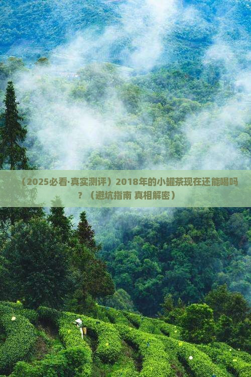 2018小罐茶现在能喝吗