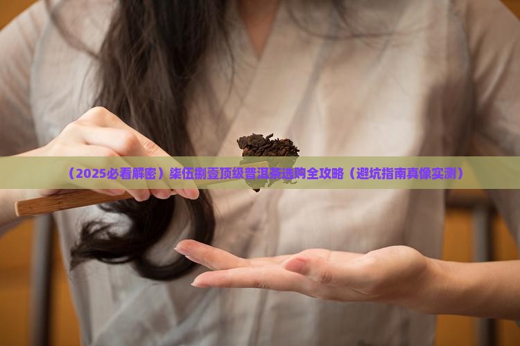 柒伍捌壹普洱茶