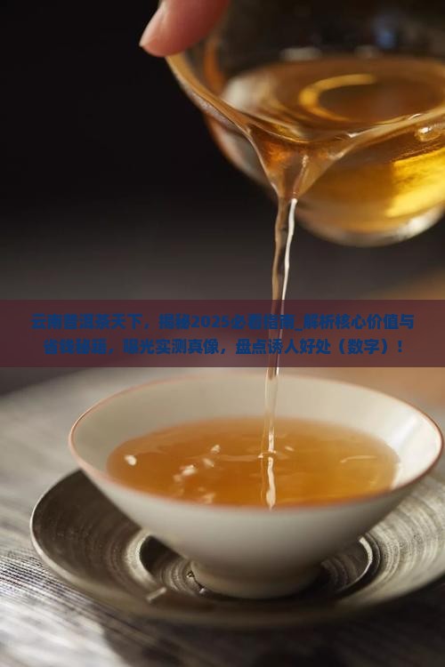 云南普洱茶天下