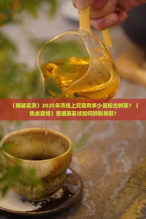 市场上的曼松古树茶有多少