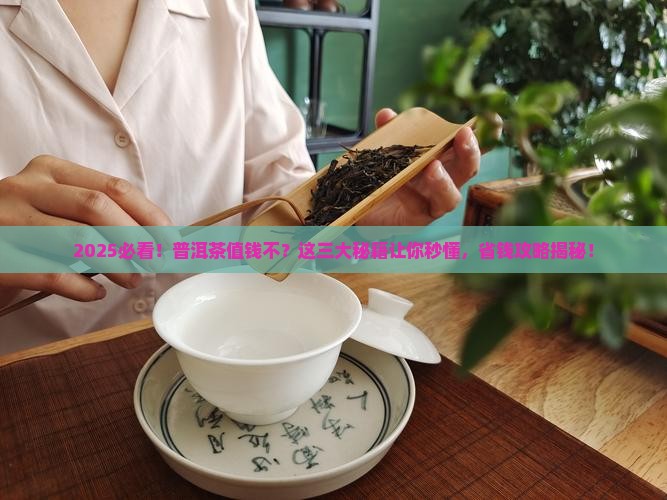 如何辨别普洱茶值钱