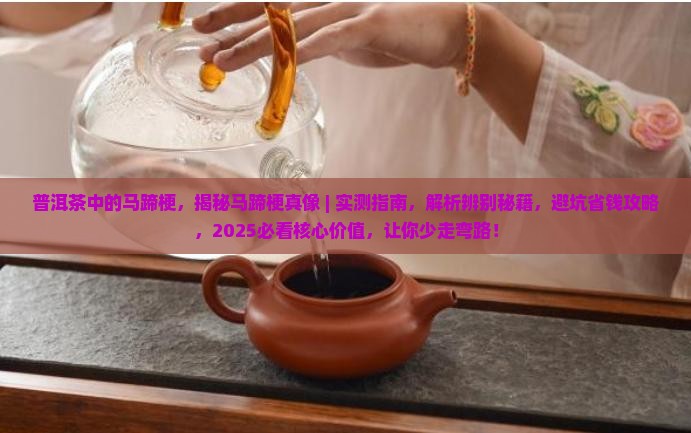 普洱茶中的马蹄梗