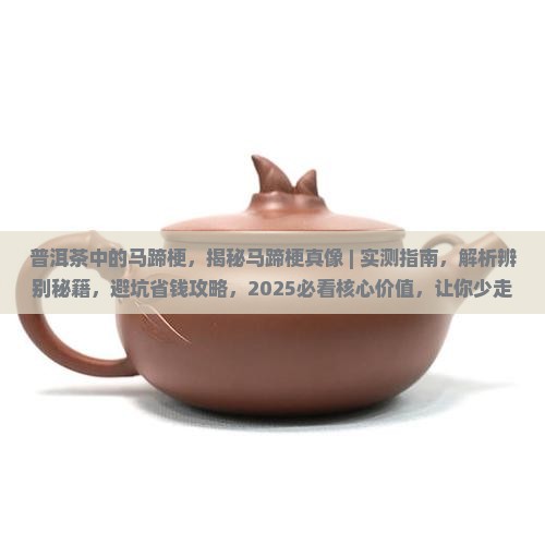 普洱茶中的马蹄梗