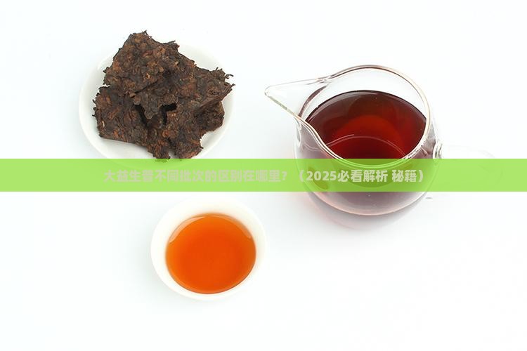 大益生普批次区别