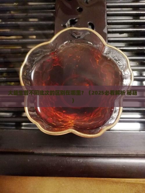 大益生普批次区别