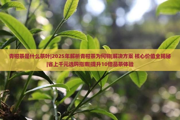 青柑茶是什么茶叶