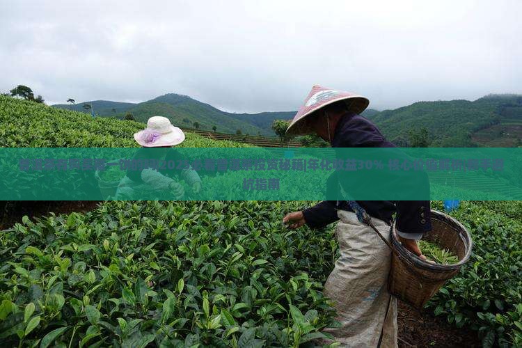 普洱茶有购买藏一饼的吗
