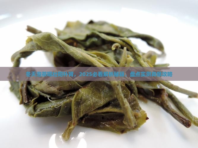 冬天泡茶喝壮阳补肾