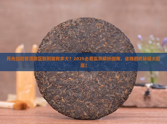 月光白和普洱茶区别