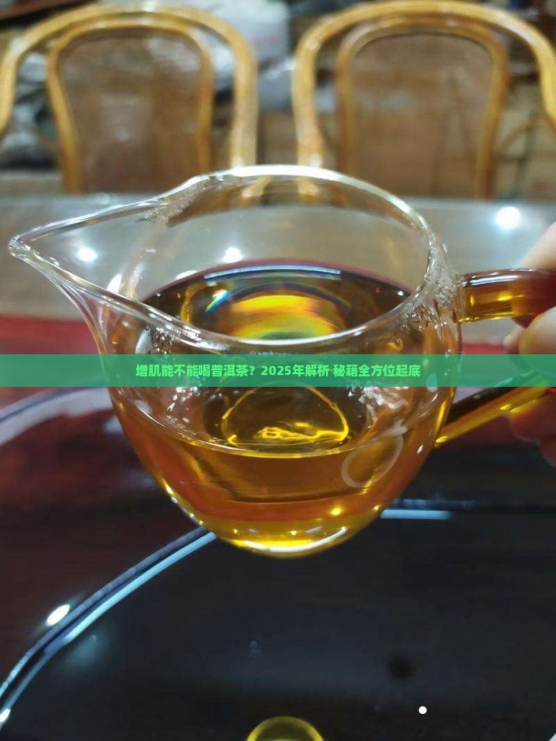 增肌能不能喝普洱茶