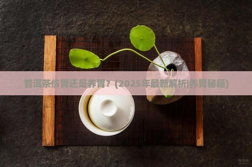 普洱茶伤胃还是养胃