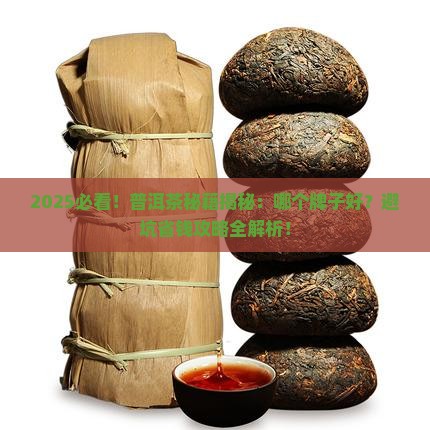 普洱茶怎么区分哪个牌子好
