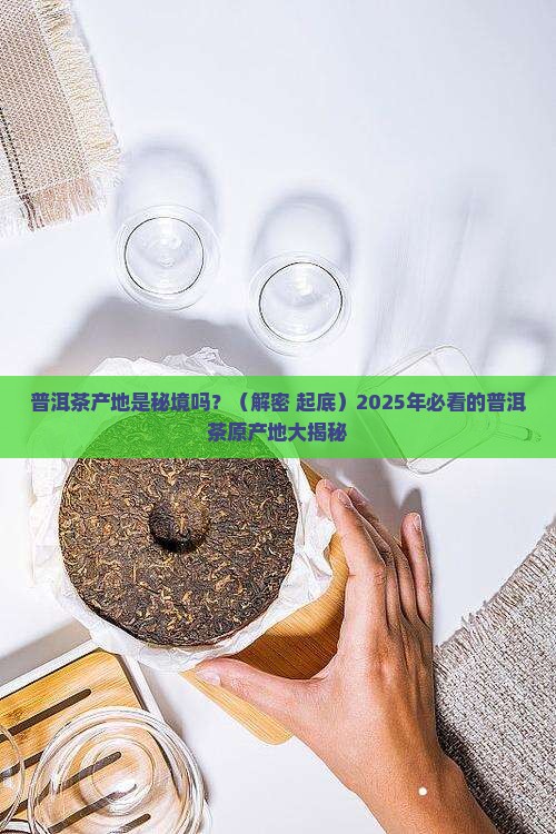 普洱茶产地是不是秘境