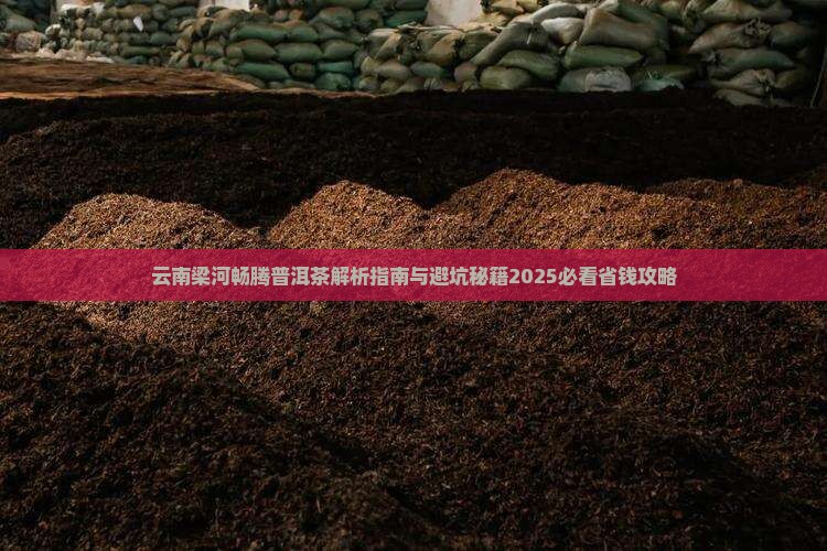 云南梁河畅腾普洱茶