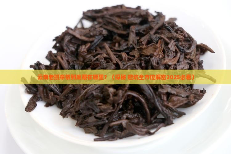 云南老班章茶位于哪里
