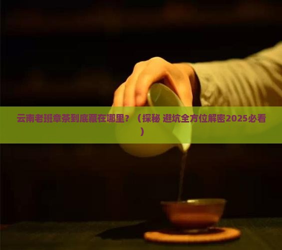 云南老班章茶位于哪里