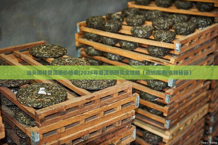 汕头雨林普洱茶价格表