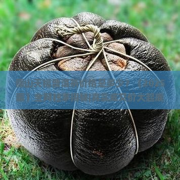 儒山天福普洱茶价格表