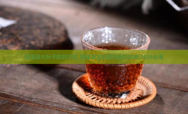 普洱茶大叶子的好不好