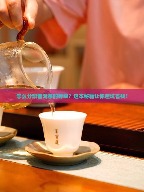 怎么分别普洱茶的等级