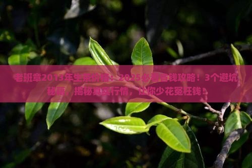 老班章2013年生茶价格