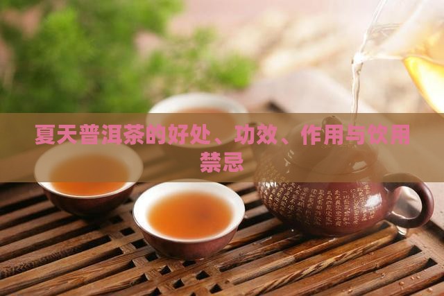 普洱茶夏季功效与作用禁忌