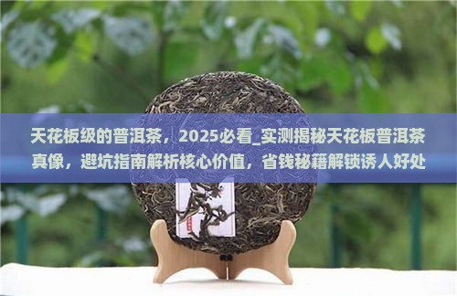 天花板级的普洱茶