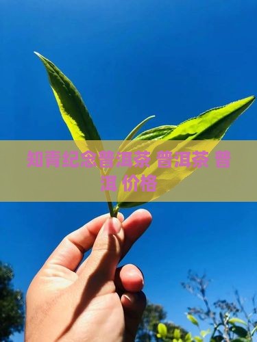 知青纪念普洱茶