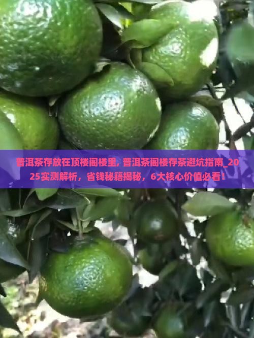 普洱茶存放在顶楼阁楼里