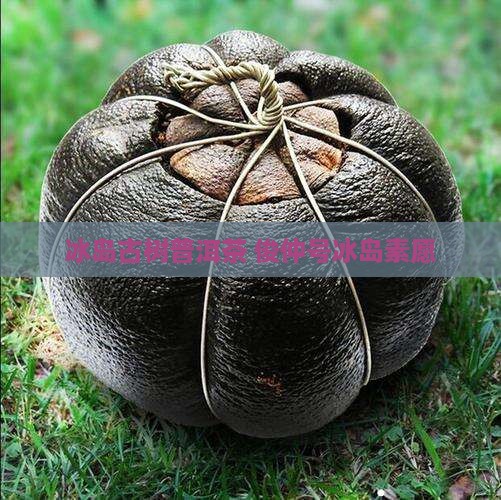 俊仲号普洱茶冰岛素愿
