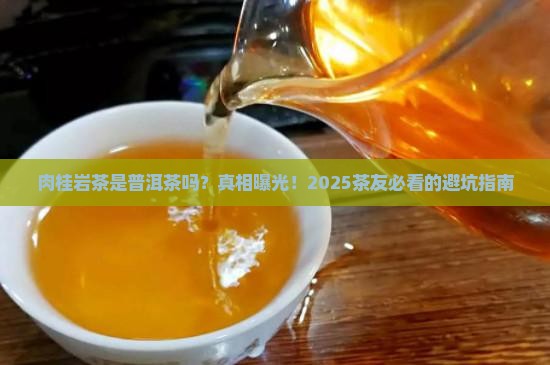 肉桂岩茶是普洱茶吗为什么