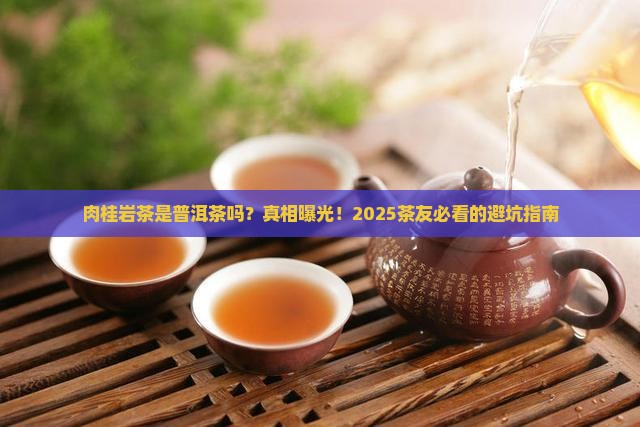 肉桂岩茶是普洱茶吗为什么
