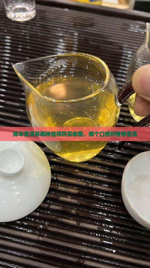 陈年普洱茶哪种值得购买藏