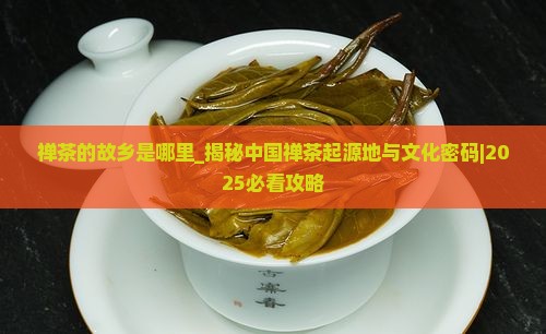 禅茶的故乡是哪里