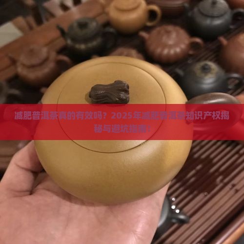 减肥普洱茶知识产权