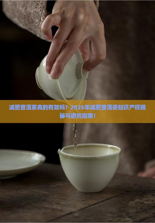 减肥普洱茶知识产权
