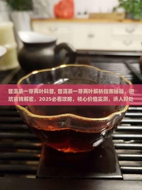普洱茶一芽两叶科普