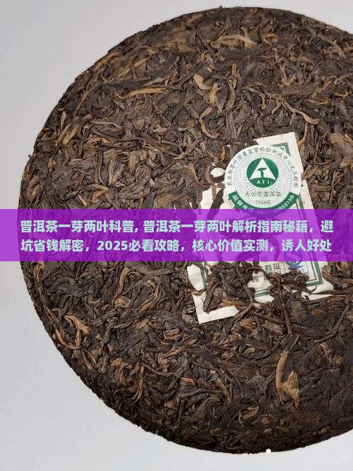 普洱茶一芽两叶科普