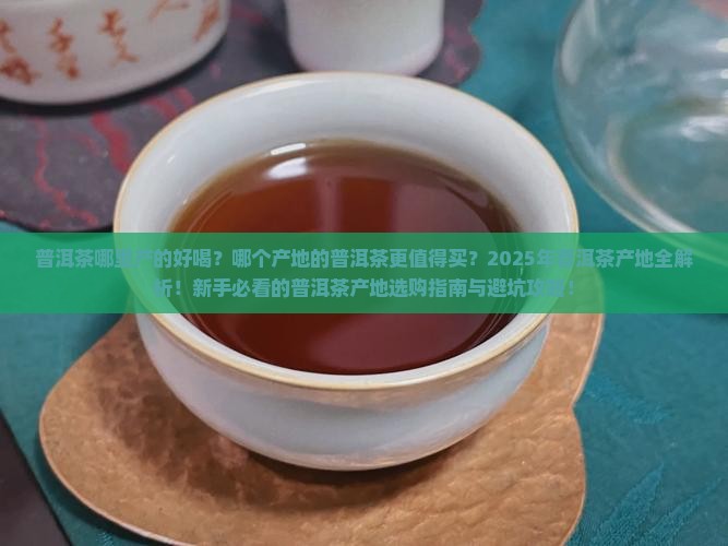 普洱茶什么产地好喝